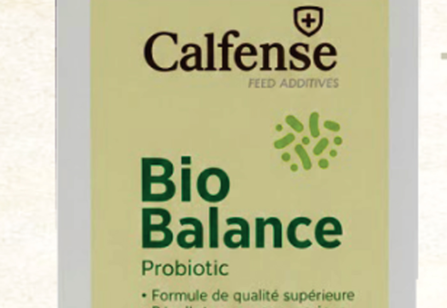 CALFENSE® BIOBALANCE ürün grubu için çiftlik hayvanı görseli