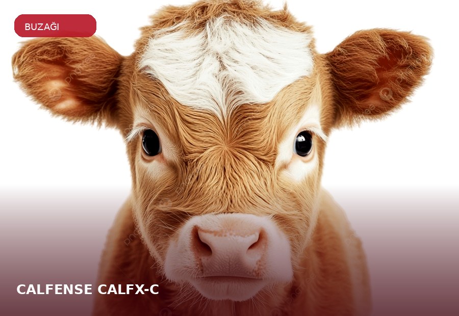 CALFENSE® CALFX-C ürün grubu için çiftlik hayvanı görseli